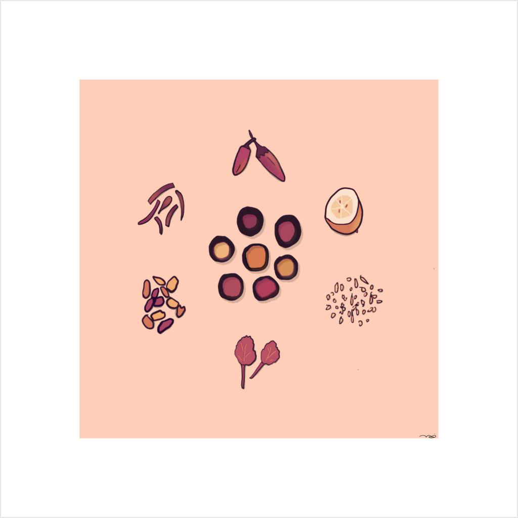 herbs + spices