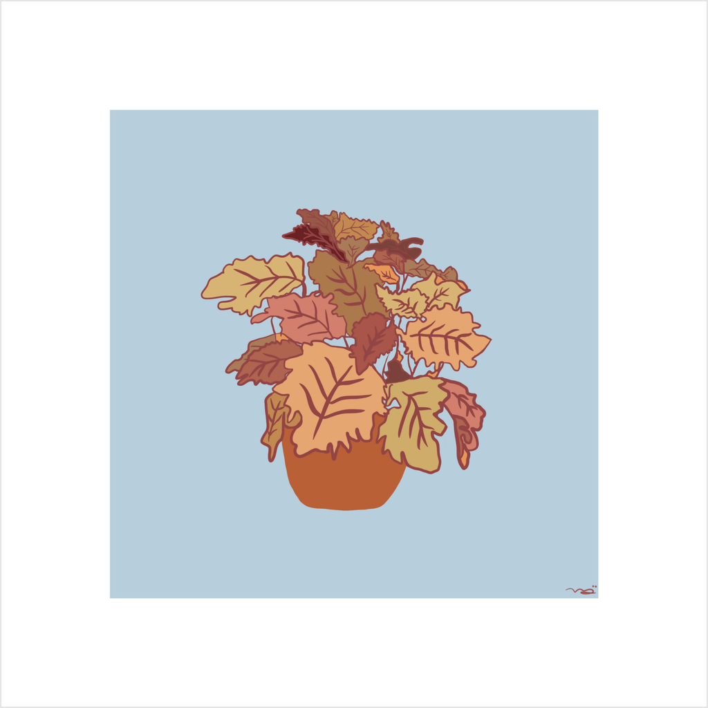 rooted