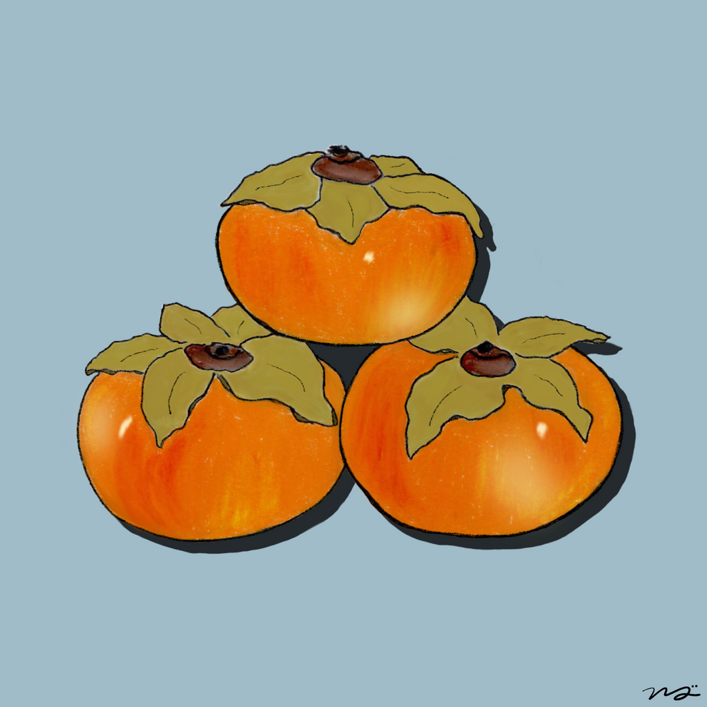 le persimmon
