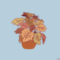 rooted