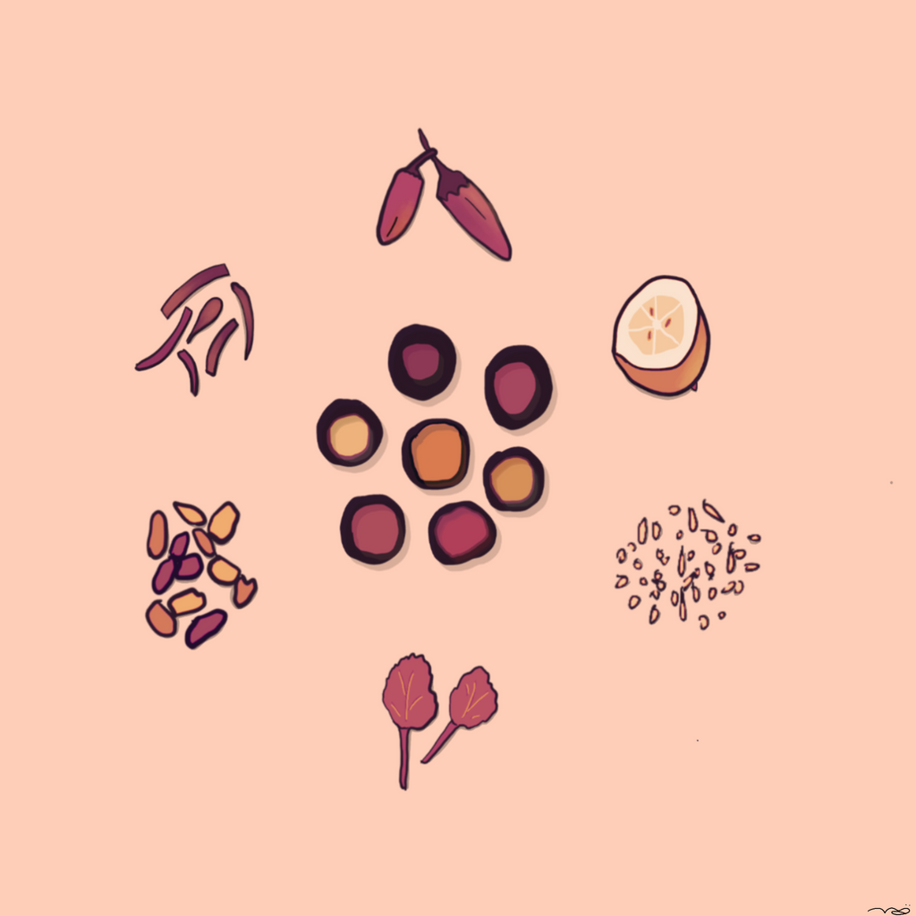herbs + spices