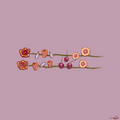 berries + cherries